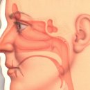 코숨한의원 이미지