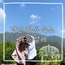 하동샬레 | [하동 숙소] 한국의 스위스 힐링 감성숙소 '하동샬레'｜ 조식맛집, 커플&가족여행 추천