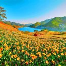 채운목장 이미지