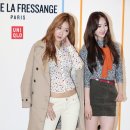 다솜 이미지