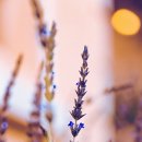 수도사업소화장실 1층 이미지