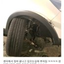 사람 죽일뻔한 르노삼성 정비소 레전드.jpg 이미지