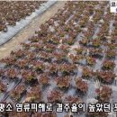 호남종묘사