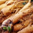 웰빙나라(과일이랑야채랑) 이미지