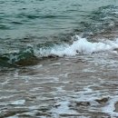 하얀파도 이미지