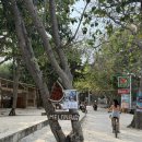 블루펄리조트 | 발리 길리여행 :: 길리서쪽 신상 펄선셋리조트 거북이스팟