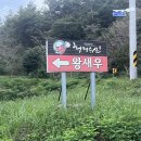청정수산왕새우