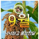 ＜09,08.주일오후예배설교＞ 나그네 길을 가는 인생들아! 이미지