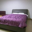 완주 숙소 가볼 만한 곳 상관편백나무숲 상관리조트 &amp;스파 후기
