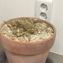 세븐일레븐서초으뜸점 이미지