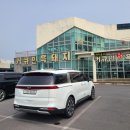 커큐민 흑돼지