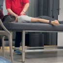 단풍나무짐 이미지