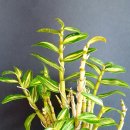 다물농장 이미지