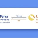 테라커머스 이미지