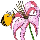 유아용 영어 꿀벌이야기 이미지