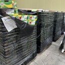 🥭브라질 애플망고(케이트) 4kg 8과🥭 이미지