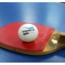 탁구 초급반 이미지