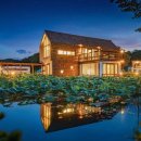 양양 스테이나무 이미지