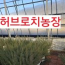 소보농장 이미지