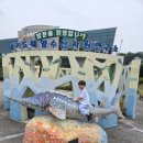 양평수족관 | [경기도 양평] 아이와 가볼 만한 곳 물고기 먹이 체험 민물고기생태학습관 방문 후기