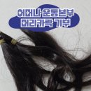 어머나 | 소아암 머리카락 기부 후기 (조건, 신청 방법) 어머나 운동본부 기부증