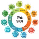 윤가원 네이버블로그