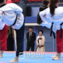 경향태권도 이미지