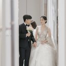 홍실주단 | 24.11.10. D-day : Our Wedding Day ⋅˚₊‧ ୨୧ ‧₊˚ ⋅ 우리의 결혼식/포항더누벨