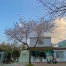 호근서호로 이미지