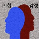 이성푸드 이미지