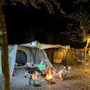 159 | 충북 괴산 오토캠핑장 농작물 따보는 승암159캠핑장 솔직 후기