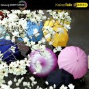 완도항구 이미지