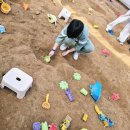 이원로 | 용인 아이랑 가볼만한곳 헤븐온어스 동물체험농장 동물먹이주기 표고버섯 고구마수확체험 후기