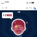 주차84 이미지