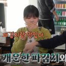 반값애견 이미지