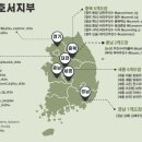 키즈 MMA 주짓수 태권도 이미지