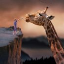 영등한의원 이미지