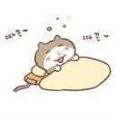 꼬야