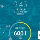 샐포시