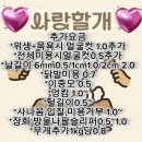 사랑할~개 | 전주 애견미용 ‘사랑할개’ • 위생미용 + 목욕 솔직후기 • 미용트라우마 극복