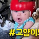 냥+아기 조합으로 힐링물된 오늘자 올리버쌤 유튜브 이미지