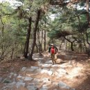 천병약수터 이미지