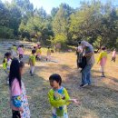 2026.9.22 삼기,고달.입면 오산병설유치원(만3~5세)/풍선물감놀이 이미지