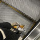 경희호랑한의원 이미지