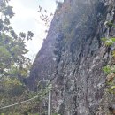 봉림농장 이미지