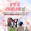 &lt;내돈내탄 31편&gt; 뚜벅이 필수템! 이브이패스 이용방법 후기