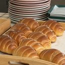 아이구루 | 광양 소금빵 맛집 구루커피｜광양불고기특화거리 현지인맛집 (내돈내산)