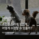 미드미동물의료센터 이미지