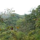 청룡동-38 이미지