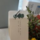 꿈터 컴퍼니